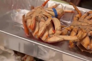 吃上感恩节火鸡了！瀚森与翻译&家人去美国当地华人家里做客了~